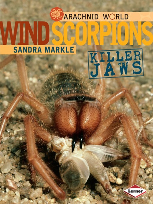 Title details for Wind Scorpions by Sandra Markle - Available